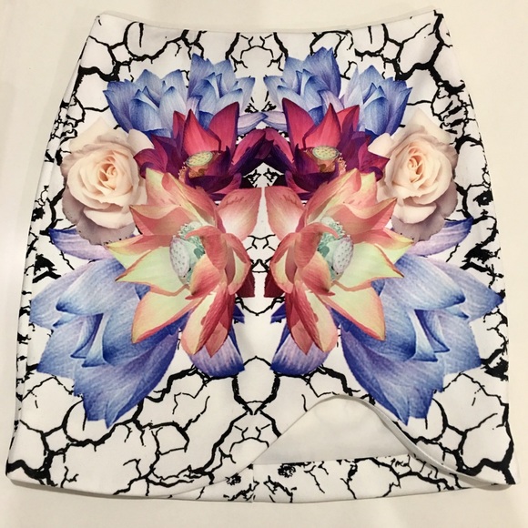 Tobi Dresses & Skirts - Wildflower Mini Skirt